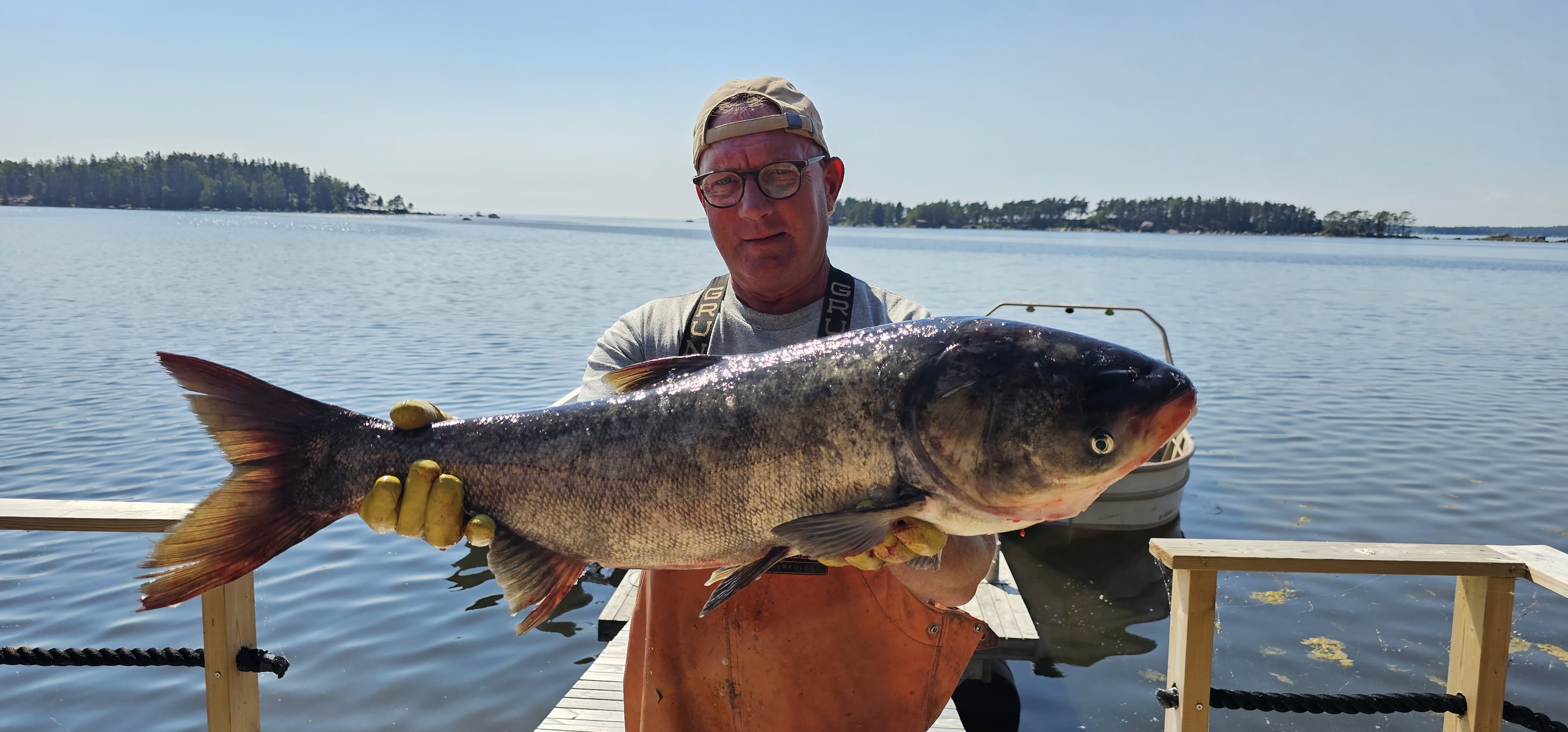 Kalastaja, joka pitelee suurta kalaa, marmoripaksuotsaa.